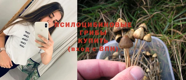 соль курить ск Абаза