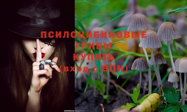 дурь Абдулино