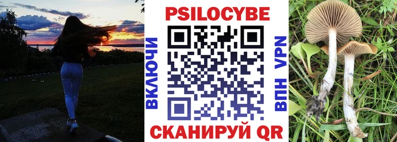 нарко площадка официальный сайт  Назрань  Псилоцибиновые грибы MAGIC MUSHROOMS 