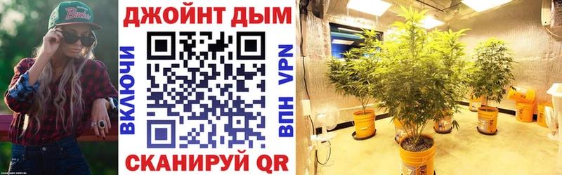Конопля планчик  хочу наркоту  Назрань 